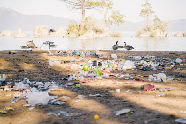 This photo, shared July 5, show litter on the beach with geese in the background. (Keep Tahoe Blue via Facebook)