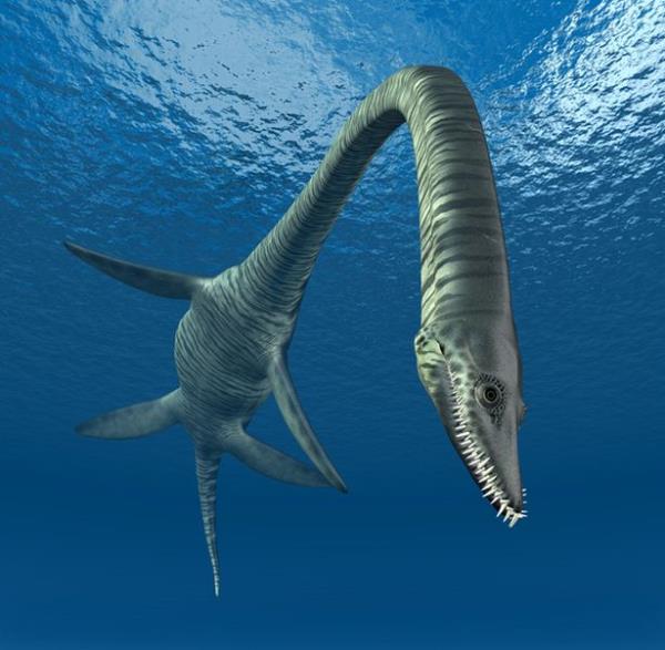 The beast roamed the Earth millions of years ago (stock)