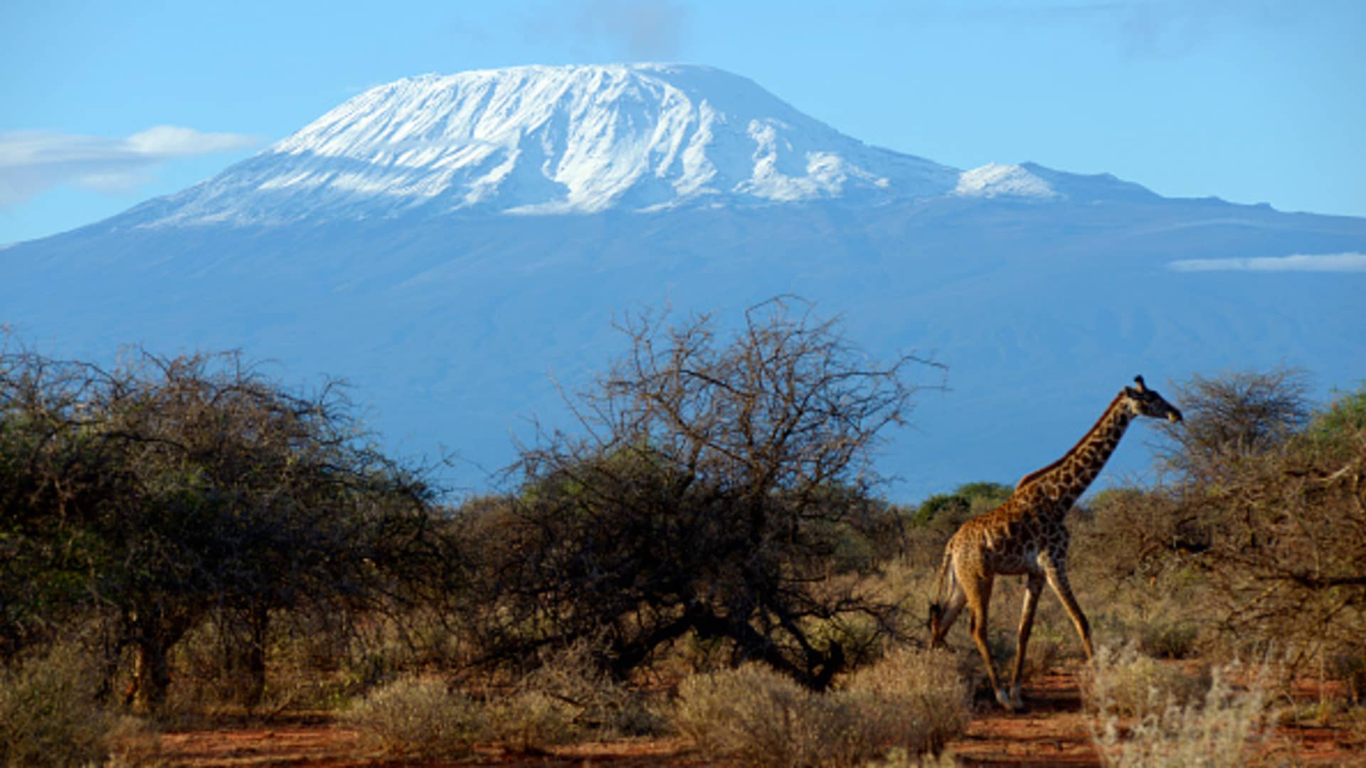 Major glaciers in Kilimanjaro and Yosemite will disappear by 2050, UN says