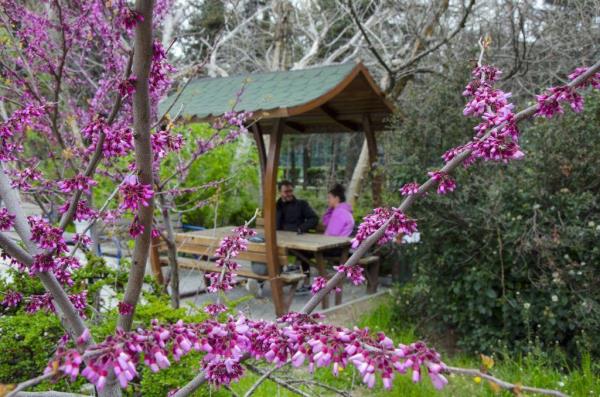 Unique campus garden home to exotic species