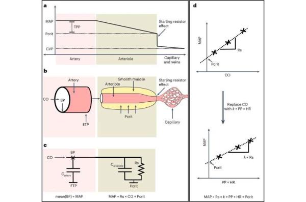 New blood-pressure related measure predicts health outcomes in patients with intensive care