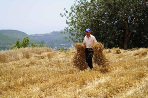 Agriculture and food exports generate $12.2 billion in revenue