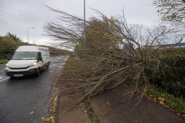 A fallen tree on the Coes Road in Dundalk, Co Louth. Heavy winds and fallen trees have been reported across the country as local authorities begin to assess the damage as Storm Debi sweeps across the island of Ireland. Picture: Liam McBurney/PA Wire