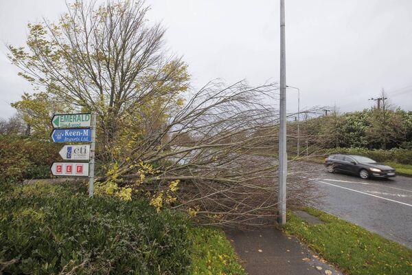A fallen tree on the Coes Road in Dundalk, Co Louth. Heavy winds and fallen trees have been reported across the country as local authorities begin to assess the damage as Storm Debi sweeps across the island of Ireland. Picture: Liam McBurney/PA Wire