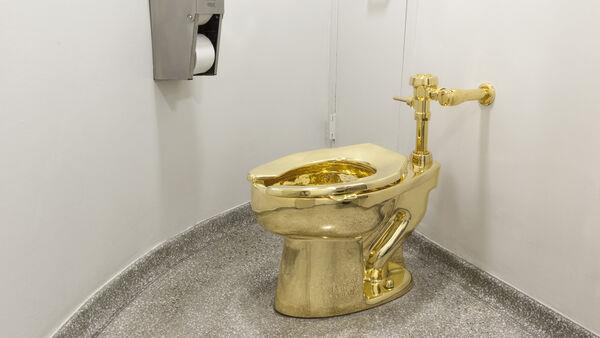 Four men charged over theft of 5.5m gold toilet from England's Blenheim Palace