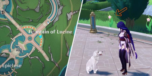 A collage image of the map showing the Fountain of Lucine and the Raiden Shogun looking at a dog in Genshin Impact.