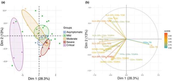 Cytotoxic CD4+ T-cells correlated to severe and fatal COVID-19 outcomes