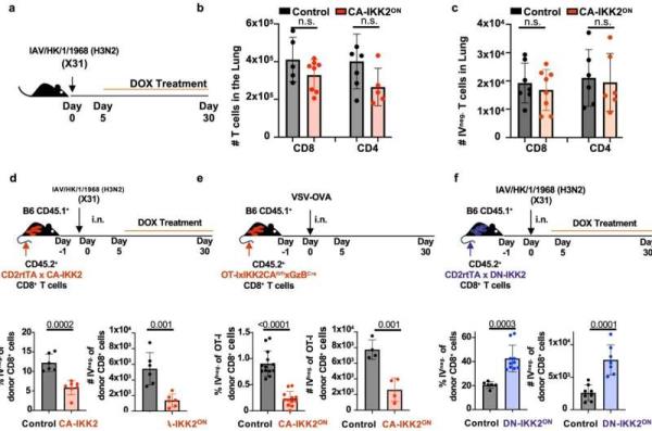 Researcher helps boost immune system memory against influenza