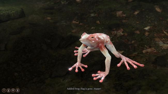 Baldur's Gate 3 Addled Frog
