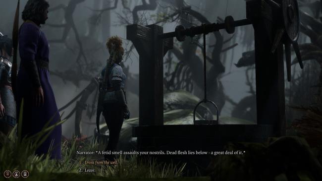 Baldur's Gate 3 Player Looking at Auntie Ethel's Well