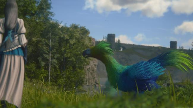 Jill with a Bluebird in Final Fantasy 16