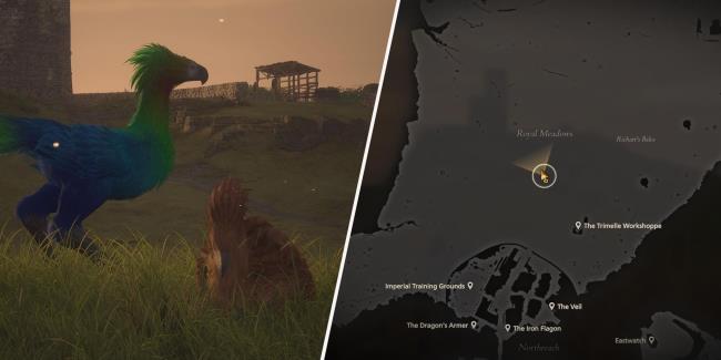 Combined image of chocobos and a map of Sanbreque in Final Fantasy 16
