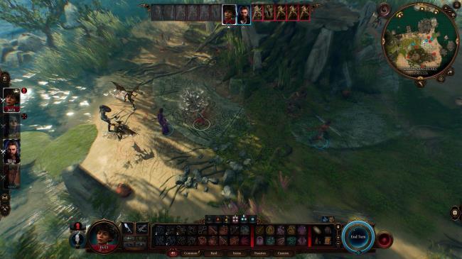 Baldur's Gate 3 Druid Catching Player Stealing in Druid Grove